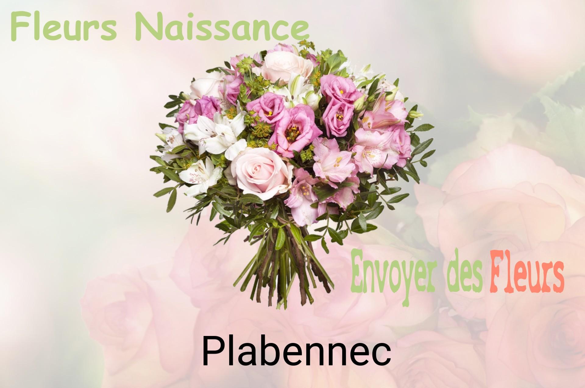 Bouquet de fleurs de naissance livré à Plabennec